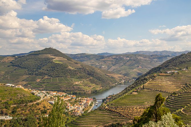 Douro Valley: private tour with lunch and wine estate all inclusive - The N222 drive to Cais do Pinhão: scenery as part of the tour