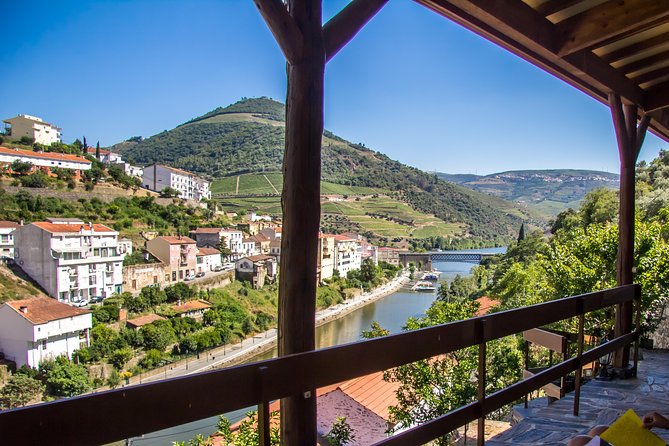 Douro Valley Private Tour with Sommelier - The wine plan: 14+ tastings with a sommelier doing the talking