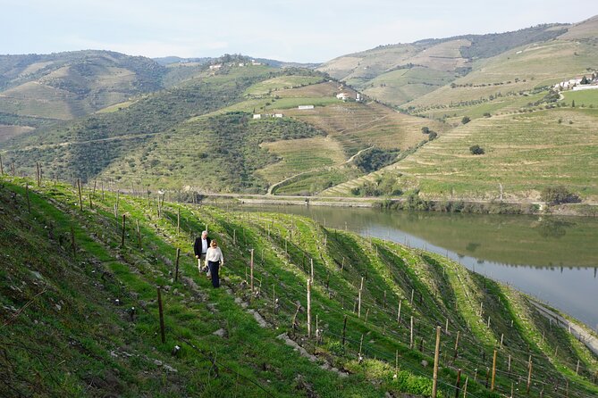 Douro Valley private tour with wine tasting and boat tour - Pinhão Railway Station tiles: 30 minutes that feel like a mini museum