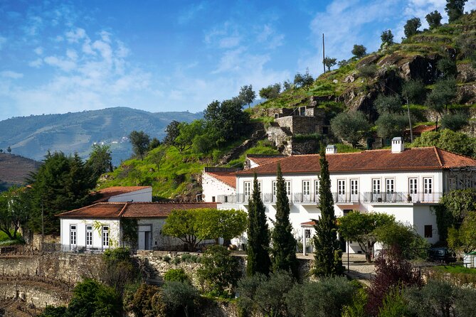 Douro Valley private tour with wine tasting and boat tour - Meet your driver-guide: Marco, Joao Frade, Bernadino, and Ivan