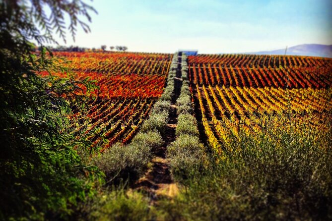 Douro Valley — Private UNESCO Wine & Cultural Experience - Quick Hits Before You Go