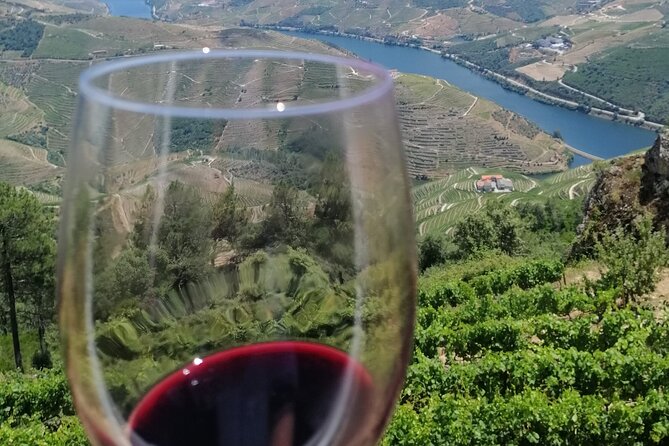 Douro Valley — Private UNESCO Wine & Cultural Experience - Pickup, Timing, and What 7 to 8 Hours Feels Like