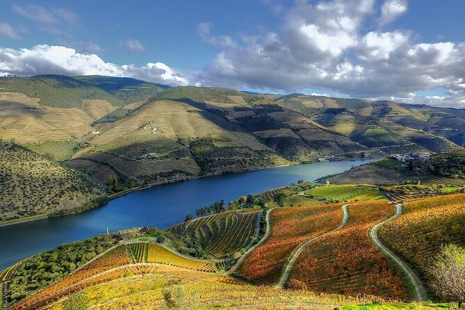 Douro Valley — Private UNESCO Wine & Cultural Experience - Price and Logistics: Is $583.99 Good Value?