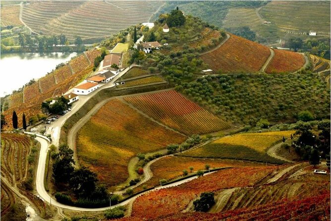 Douro Valley — Private UNESCO Wine & Cultural Experience - Who This Douro Valley Experience Fits Best