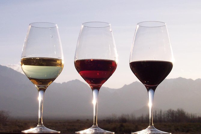 Douro Valley Private Wine and Food Tour From Porto - Private Douro Valley Day From Porto: The Value in the Format