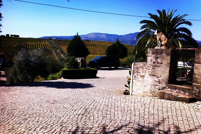 Douro Valley Private Wine and Food Tour From Porto - The Private Guide Advantage: Flexibility and Smooth Timing