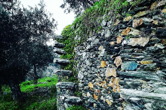Douro Valley Private Wine and Food Tour From Porto - Weather, Timing, and Comfort Tips for the Douro Drive
