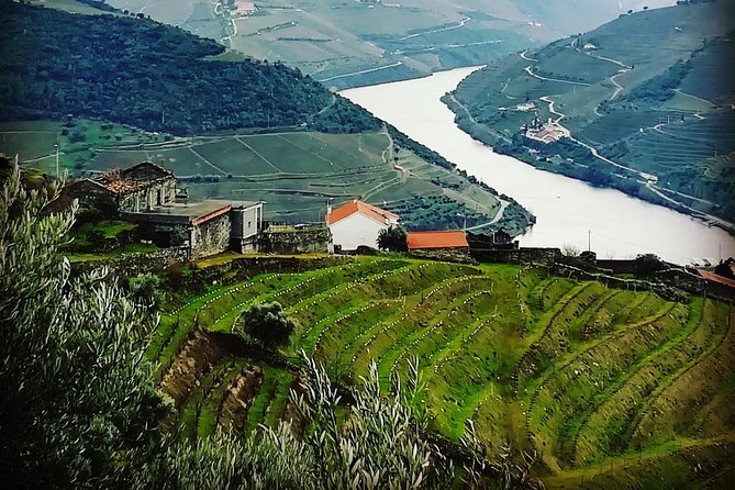 Douro Valley Private Wine and Food Tour From Porto - Quinta do Seixo and Sandeman: A Guided Start With Real Port Country Energy
