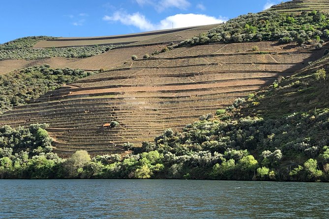 Douro Valley private wine tour | tastings and lunch included - Pickup In Porto at 8:30, and a return near 7:30