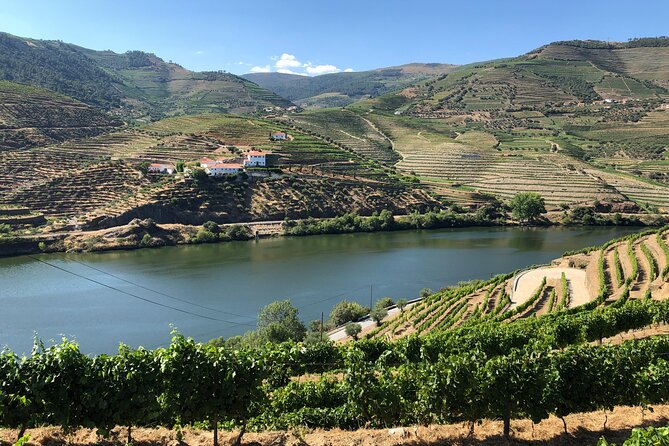 Douro Valley private wine tour | tastings and lunch included - The guide makes the Douro Valley make sense (Alfredo Santos is a standout)