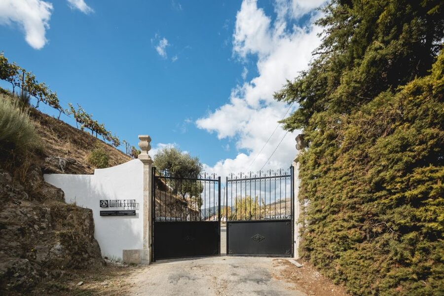 Douro Valley: Quinta de S. Luiz Winery Tour and Tasting - Classic vs premium tastings, and what to choose for your palate
