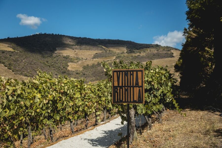 Douro Valley: Quinta de S. Luiz Winery Tour and Tasting - Terrace S. Luiz, when you want the view more than the rush