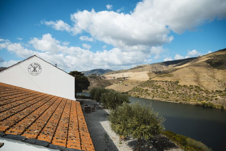 Douro Valley: Quinta de S. Luiz Winery Tour and Tasting - Price and value at around $25 per person