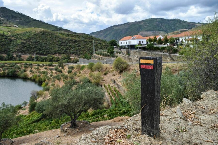 Douro Valley: Quinta do Tedo Wine Experience with Picnic - Finding Quinta do Tedo, and why the location matters