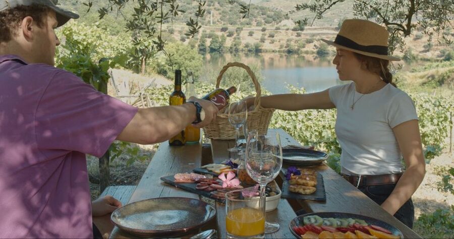 Douro Valley: Quinta do Tedo Wine Experience with Picnic - Guided winery tour: vinification center and wine cellars