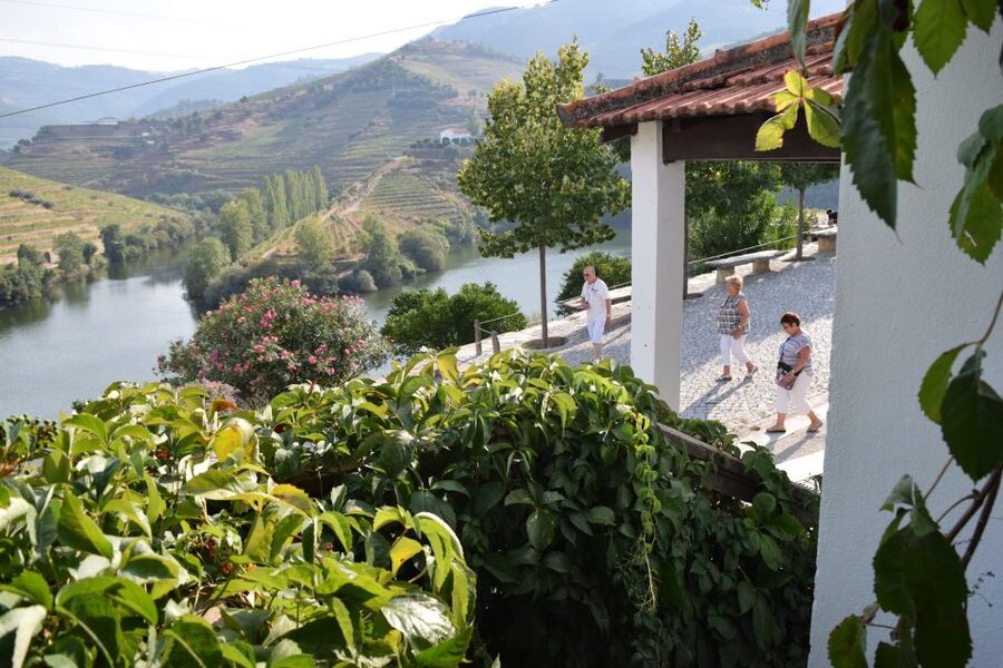 Douro Valley: Quinta do Tedo Wine Experience with Picnic - Weather and the Underground Wine Gallery backup