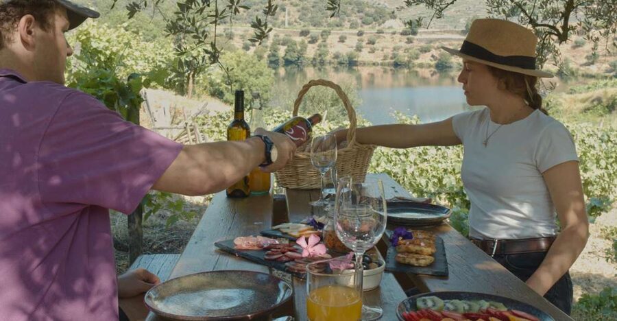 Douro Valley: Quinta do Tedo Wine Experience with Picnic - Price and value: is $65 worth it?