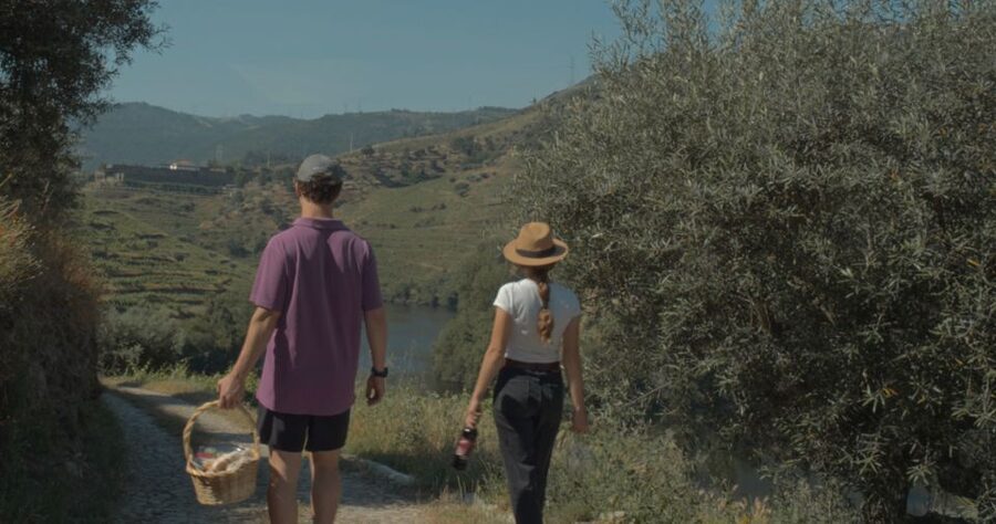 Douro Valley: Quinta do Tedo Wine Experience with Picnic - Who this suits best, and who should skip it