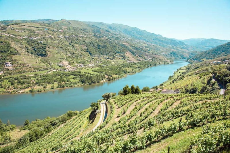 Douro Valley: Real Small-Group, Wine Tasting, Lunch & Boat - From Porto to the Douro in an 8-Seat Minivan