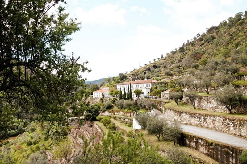Douro Valley: Real Small-Group, Wine Tasting, Lunch & Boat - Should You Book This Douro Valley Small-Group Tour?