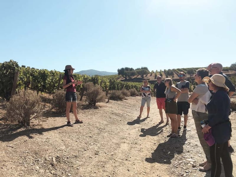 Douro Valley: Real Small-Group, Wine Tasting, Lunch & Boat - How the Small-Group Format Keeps Your Day Enjoyable