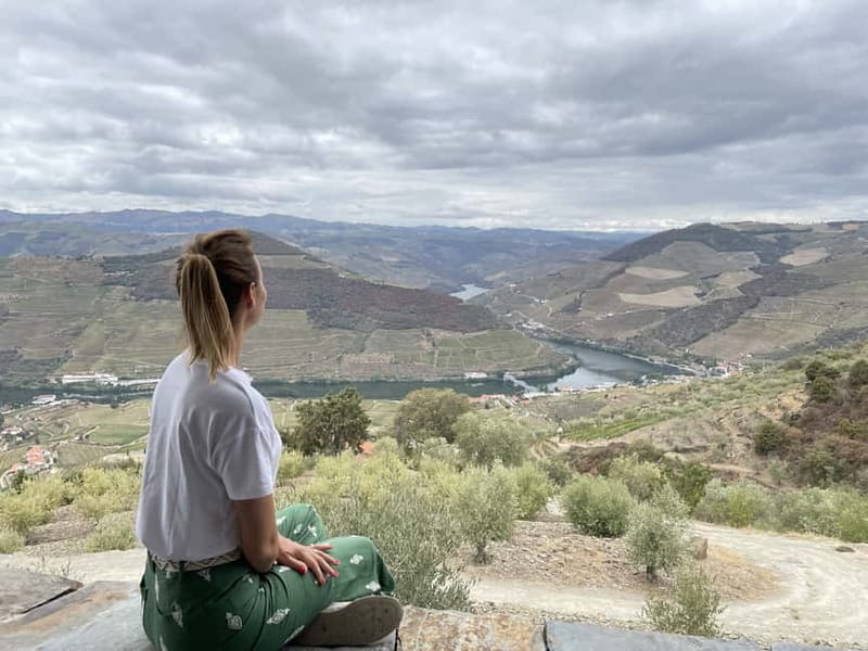 Douro Valley: Real Small-Group, Wine Tasting, Lunch & Boat - Timing, Pace, and the Curvy Drive Reality