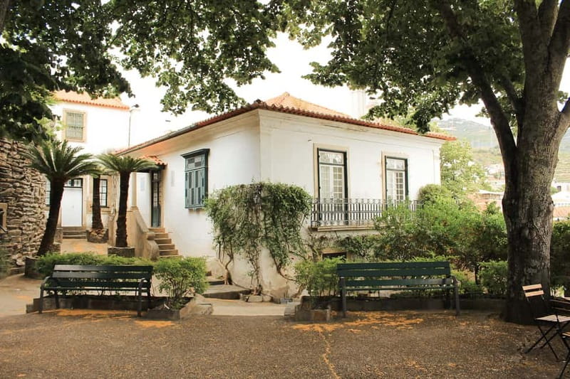 Douro Valley: Real Small-Group, Wine Tasting, Lunch & Boat - Who This Douro Tour Fits Best