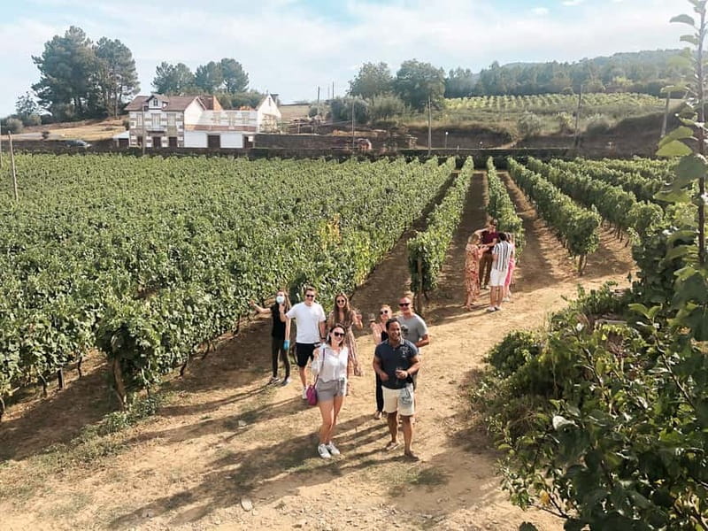 Douro Valley: Real Small-Group, Wine Tasting, Lunch & Boat - Pinhão Boat Cruise: A Calm 1-Hour Ride Through Vineyard Slopes