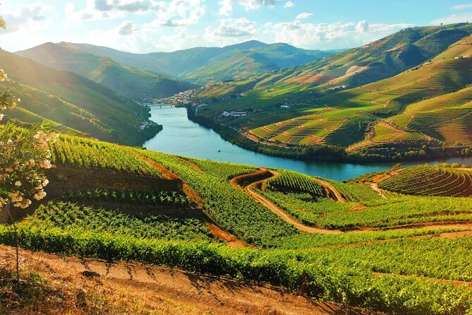 Douro Valley - Relaxed Departure from Porto - Key takeaways before you go