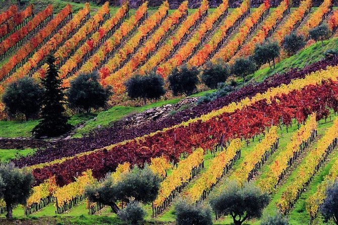 Douro Valley - Relaxed Departure from Porto - Lunch by the river, and why the timing helps