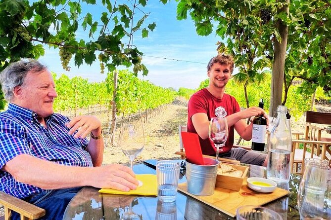 Douro Valley Small-Group Tour: 2 Wineries, Lunch, Optional Cruise - Douro Valley from Porto, without the stress