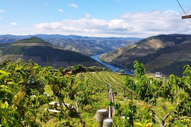 Douro Valley Small-Group Tour: 2 Wineries, Lunch, Optional Cruise - Winery tastings plus a real lunch, not a snack break