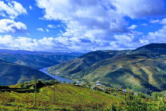 Douro Valley Small-Group Tour: 2 Wineries, Lunch, Optional Cruise - What to expect from the wineries, and why “bodega” can mean different things