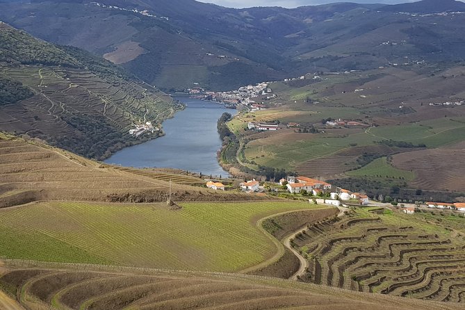 Douro Valley Tour: 2 Vineyard Visits, River Cruise, Winery Lunch - Key takeaways before you go