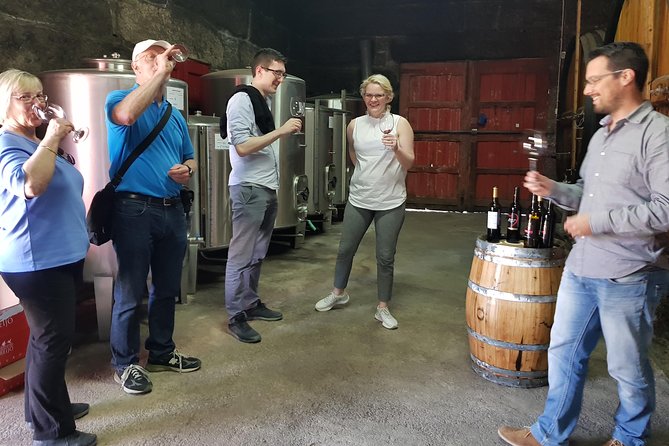Douro Valley Tour: 2 Vineyard Visits, River Cruise, Winery Lunch - Why This Douro Day Trip Works From Porto
