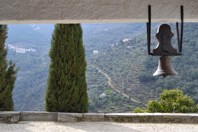 Douro Valley Tour: 2 Vineyard Visits, River Cruise, Winery Lunch - Guides Make the Day: Pedro, Rita, Tiago, Sara, and More