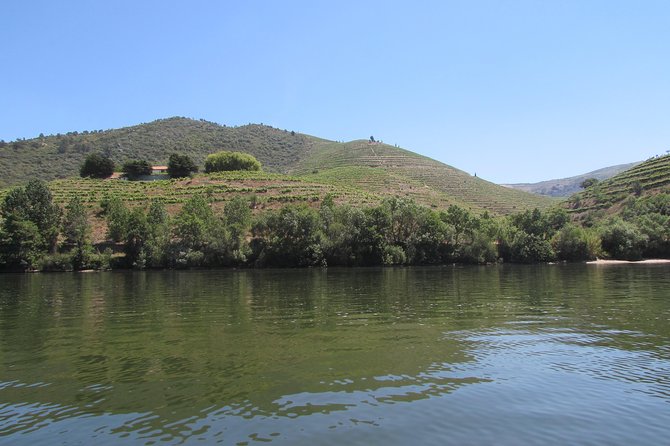 Douro Valley Tour: 2 Vineyard Visits, River Cruise, Winery Lunch - Starting Point, Timing, and the Ride to the Valley