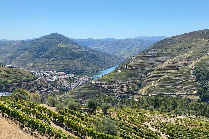 Douro Valley Tour - 3 Wine tastings, Lunch & river Cruise - Amarante stop: Vinho Verde with cheese and charcuterie, plus old bridges