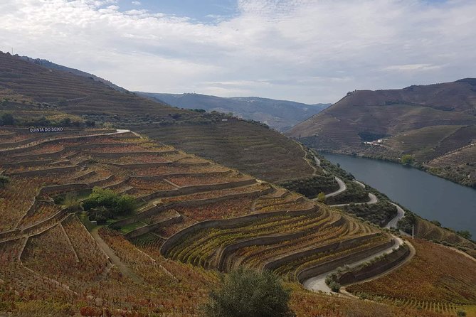 Douro Valley Tour from Peso da Regua - Quinta da Roeda: table wine plus Port tastings to close strong