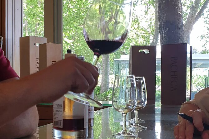 Douro Valley Tour Wine and breathtaking views - Key highlights you will feel right away