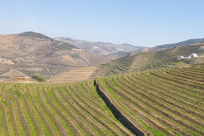 Douro Valley Tour Wine and breathtaking views - Along National Road 222: Pinhão and quick river views