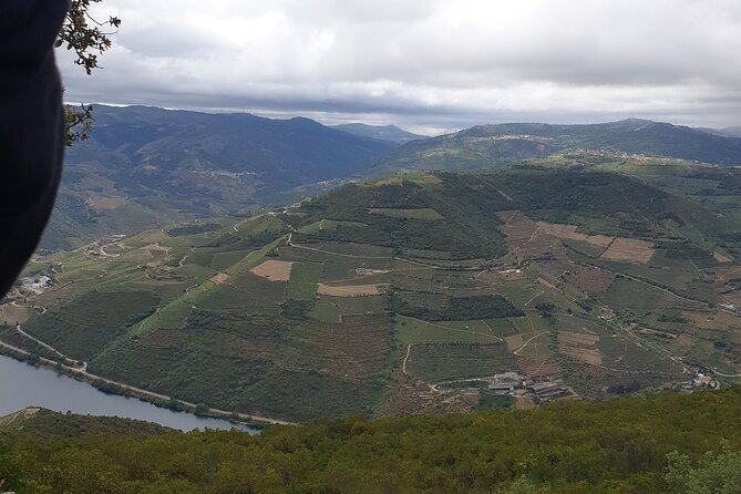 Douro Valley Tour Wine and breathtaking views - Quinta da Pacheca and Casa de Mateus: optional adds based on your interests