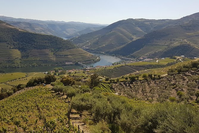 Douro Valley Tour Wine and breathtaking views - UNESCO Douro Valley viewpoints, with photo stops that actually work