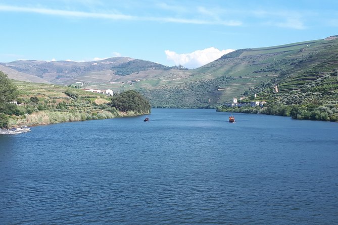 Douro Valley Tour (wine & Food) - The Douro Valley Drive and Views: River Roads, Small Town Stops, and a Short Cruise
