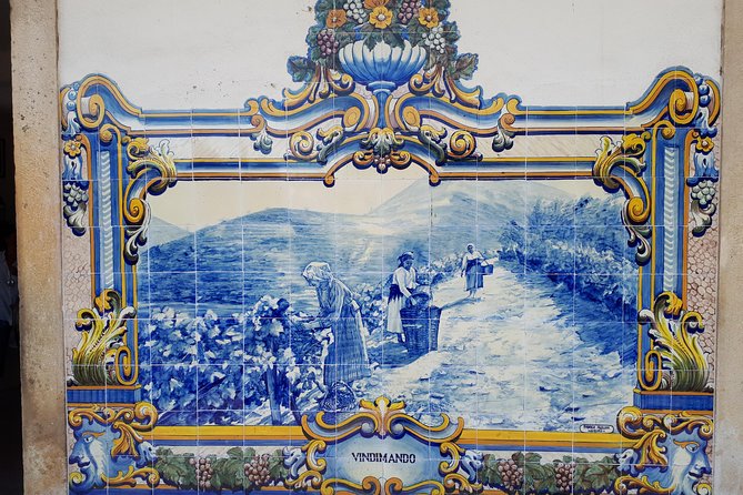 Douro Valley Tour (wine & Food) - D’Origem Olive Oil Press Museum: Why the Food Stop Changes the Day