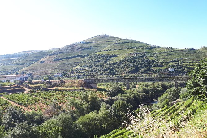 Douro Valley Tour (wine & Food) - Small Private Group Dynamics: What Up to Seven Spaces Actually Means