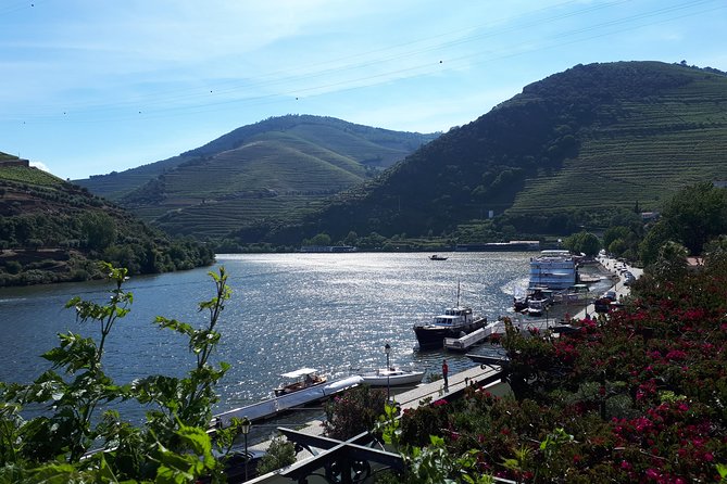 Douro Valley Tour (wine & Food) - Price and Value for an 8-Hour Douro Day Trip From Porto