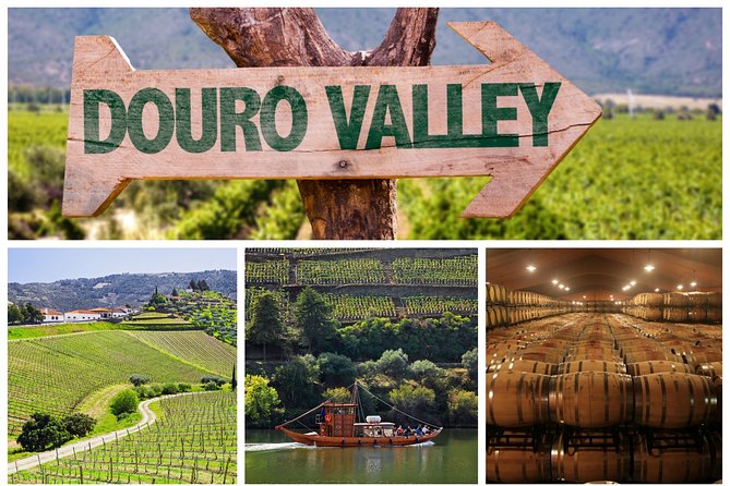 Douro Valley Tour: Wine Tasting, Cruise and Lunch from Porto - Key things to know before you go
