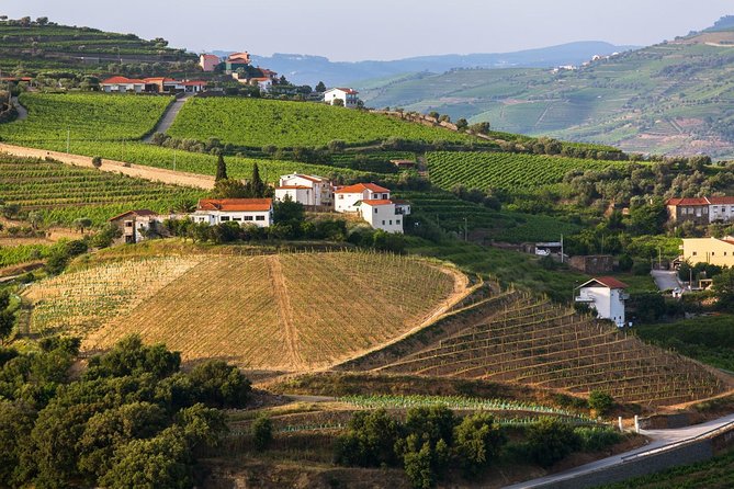 Douro Valley Tour: Wine Tasting, Cruise and Lunch from Porto - Lunch on the river, with real choice (and some variety)