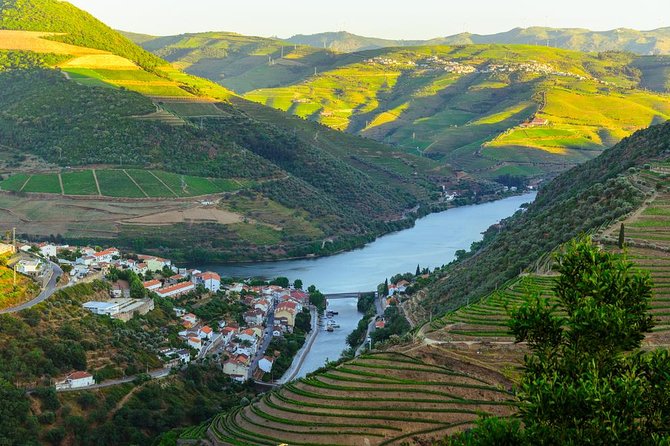 Douro Valley Tour: Wine Tasting, Cruise and Lunch from Porto - Wine tastings, minimum drinking age, and how to taste smarter